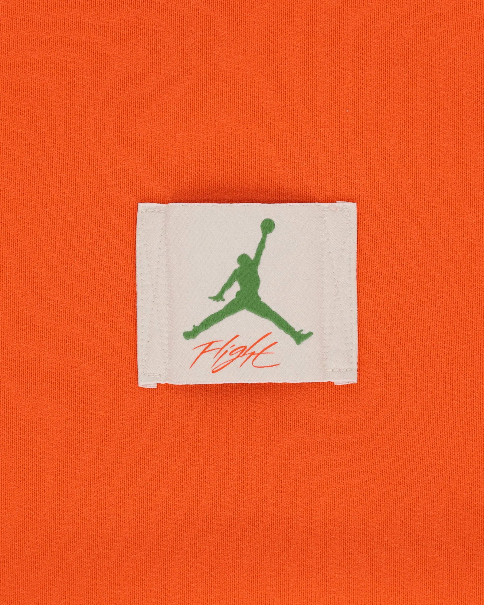 Sweatshirt Jordan TITAN Crewneck Sweatshirt DV7040-819