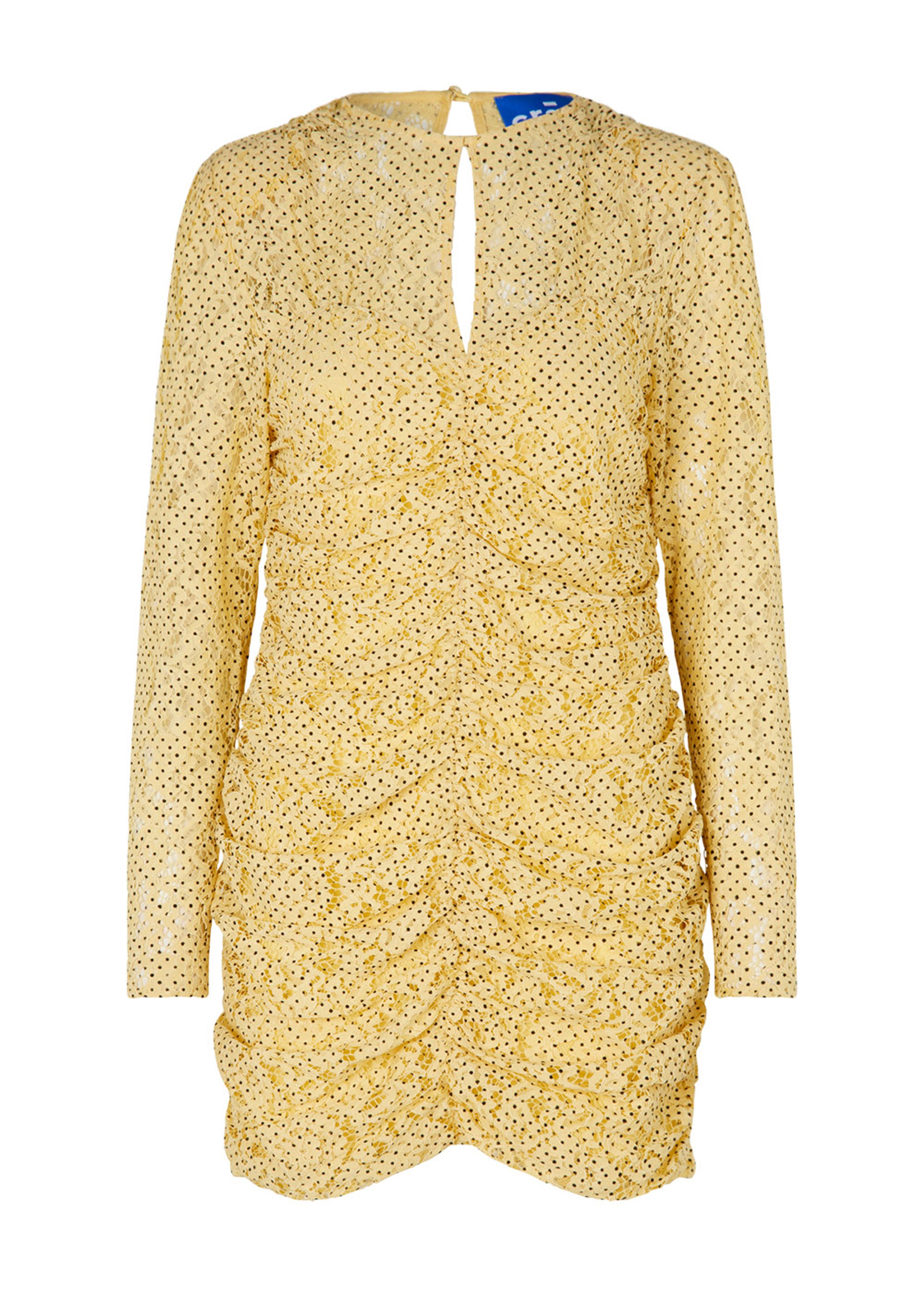 Vanessacras Dress